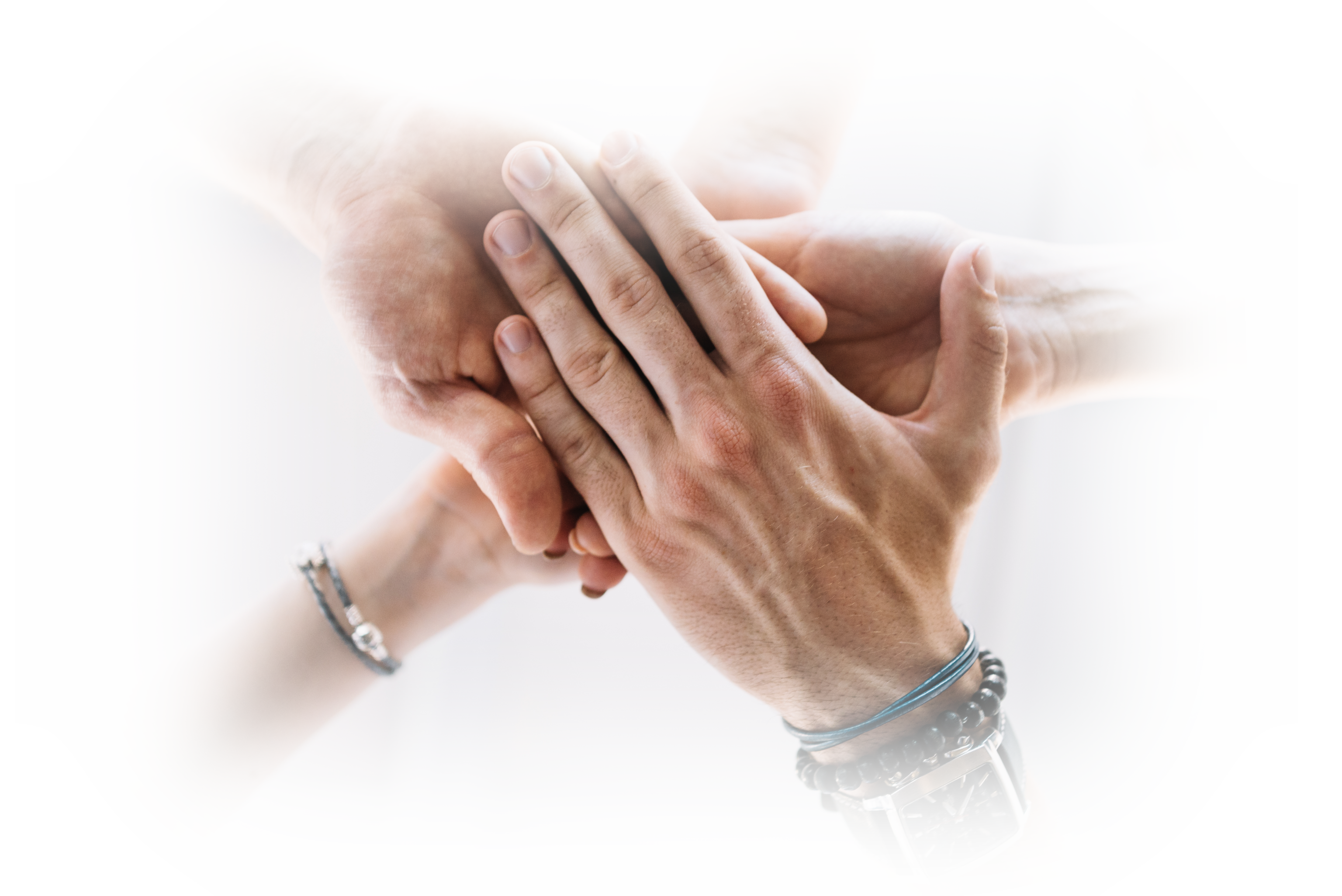 Bele Gebäudereinigung Schritte zur Partnerschaft